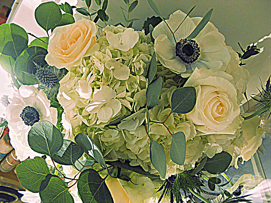 Anemones and Roses Photograph by Nancy Kane Chapman
