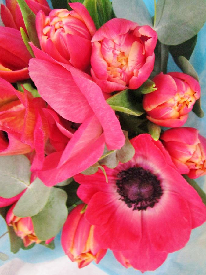 Anemones and tulips Photograph by Rosita Larsson