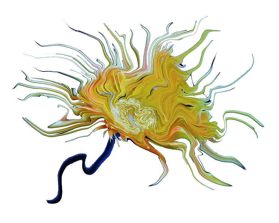 Sea Anemone Flower Digital Art by Robert Woodward