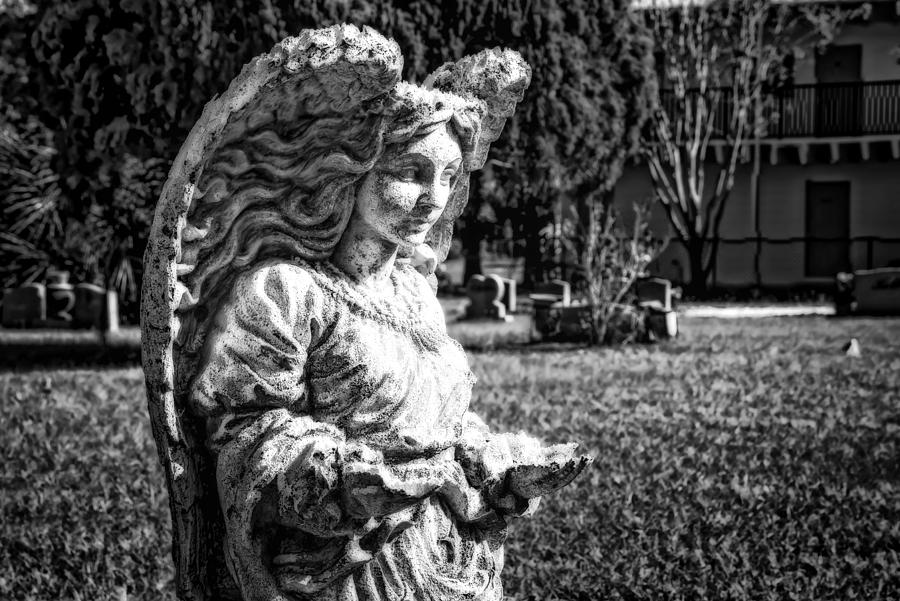 Angel 006 Photograph by Michael White