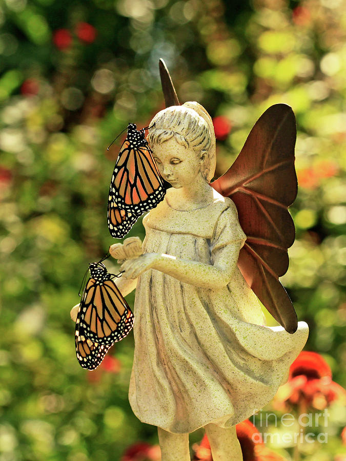 Angel Blessings with Butterflies Photo Photograph by Luana K Perez