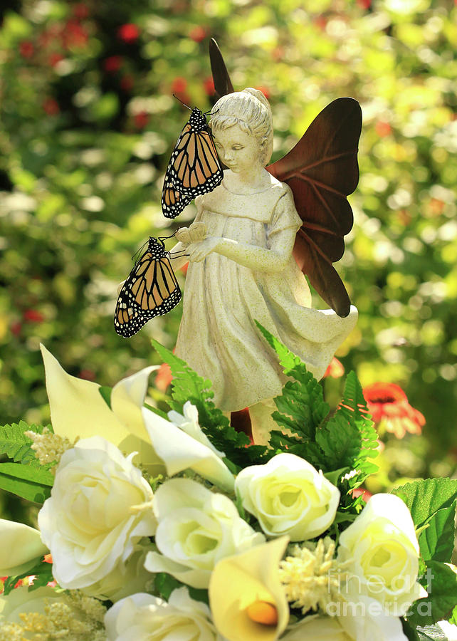Angel Butterfly Blessings Photo Photograph by Luana K Perez
