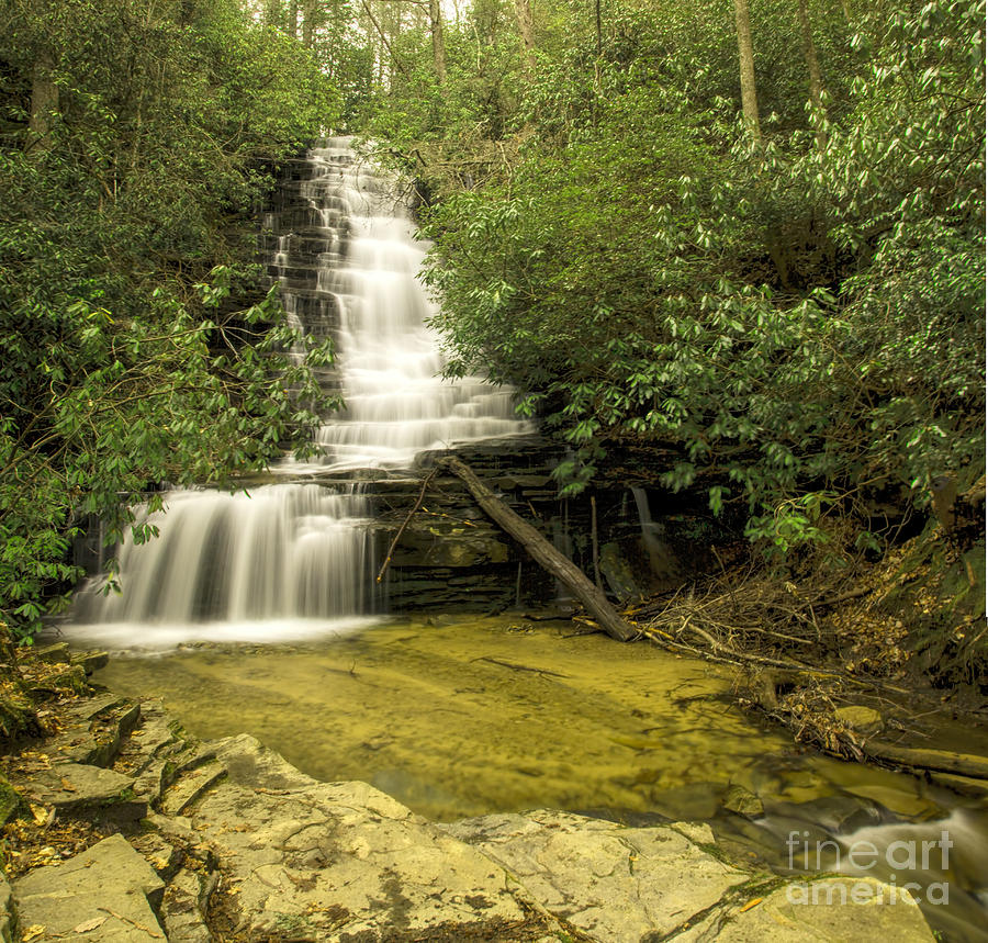 Waterfall Photograph - Angel Falls by Barbara Bowen