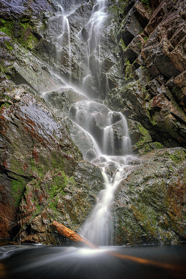 Nature Photograph - Angel Falls by Rick Berk