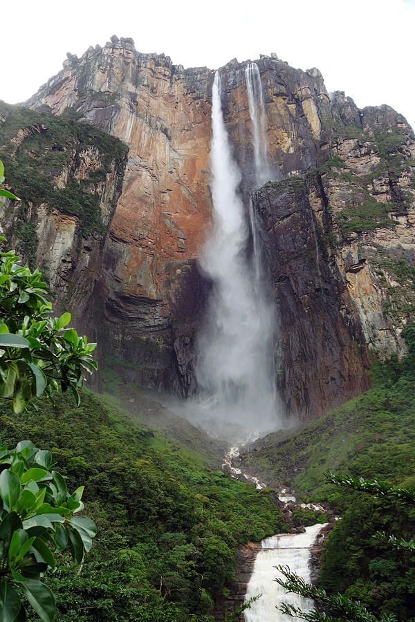 Angel Falls Venezuela Photograph by Kurt Williams - Pixels