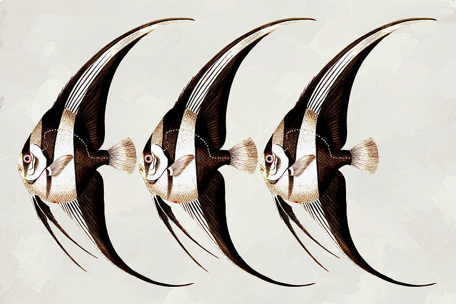 Angel Fish In A Row Wall Art Mixed Media by Georgiana Romanovna