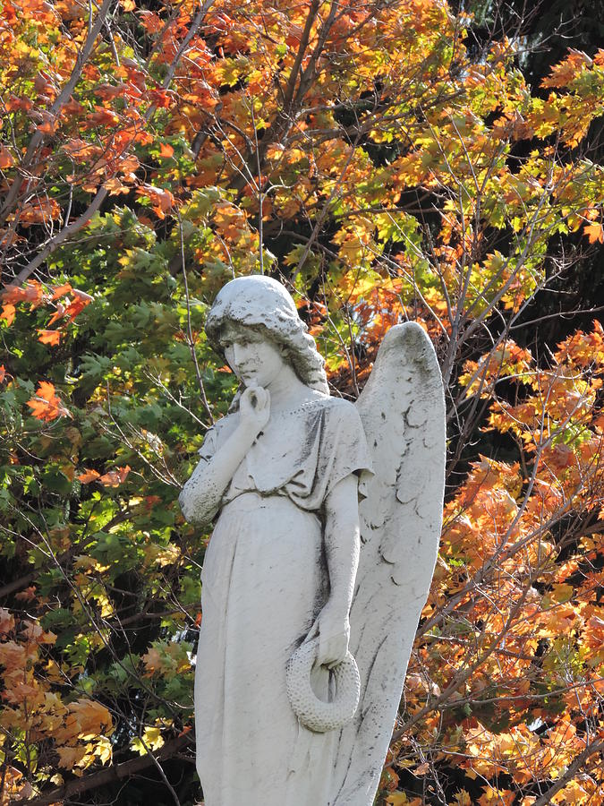 Angel in Autumn Photograph by Bill Tomsa
