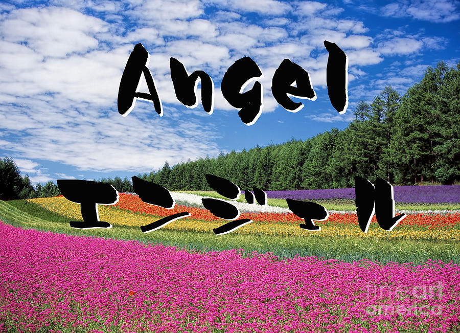 Angel in Japanese Katakana Digital Art by Nobu Nihira - Pixels