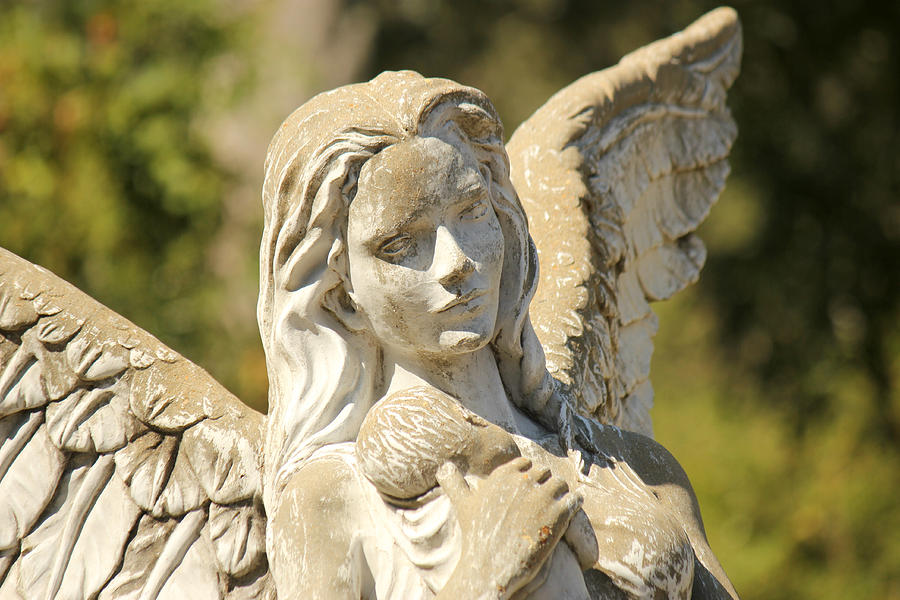 Angel in Mississippi Photograph by Lynn Jordan