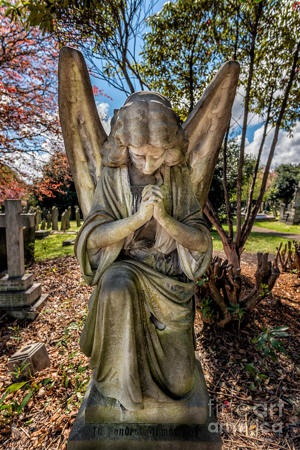 Angel In Prayer Photograph by Adrian Evans