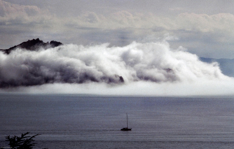 Angel Island Fog Photograph by Frank DiMarco