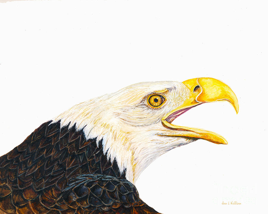 Eagle Painting - Angel by Jan Killian