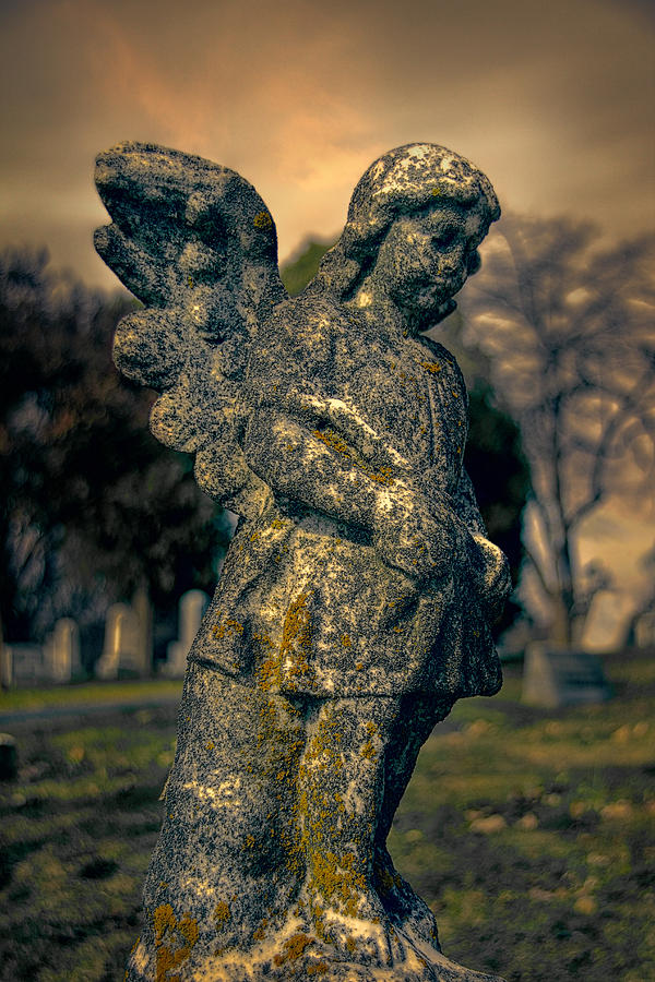 Angel Photograph by Jemmy Archer