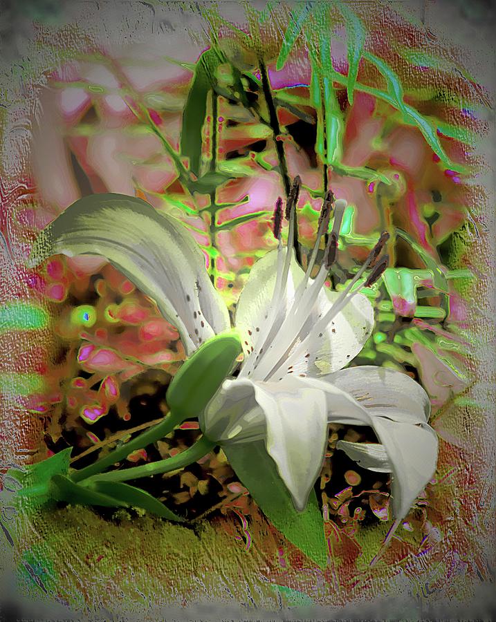 Angel Lily Photograph by Sheri McLeroy