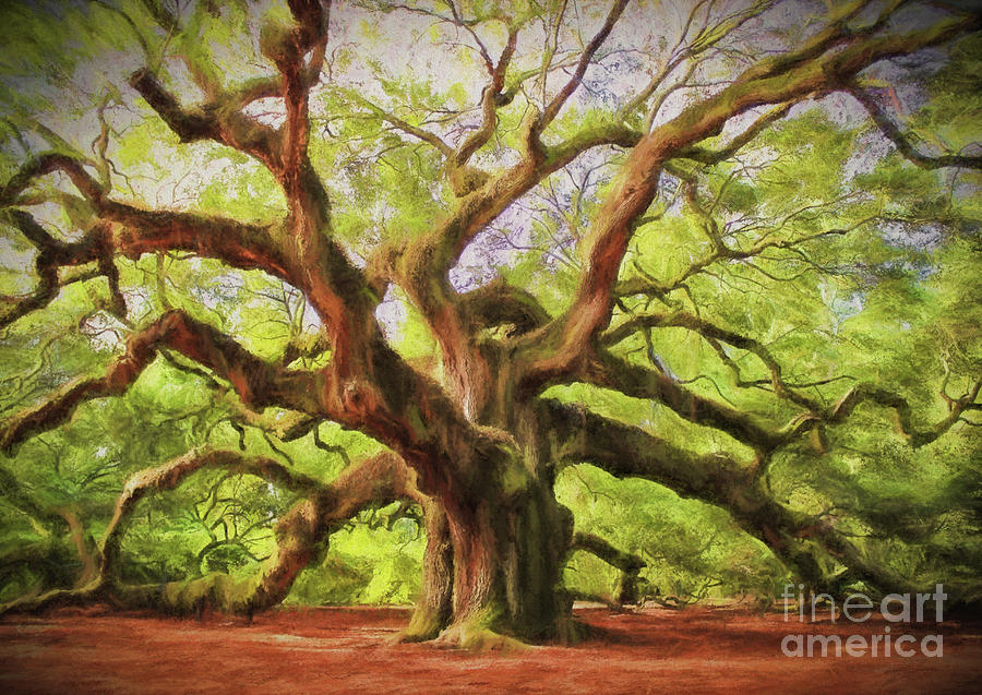 Angel Oak Painterly Photograph by Paulette Thomas - Fine Art America