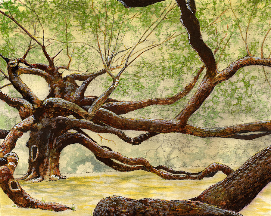 Angel Oak Painting by Thomas Hamm