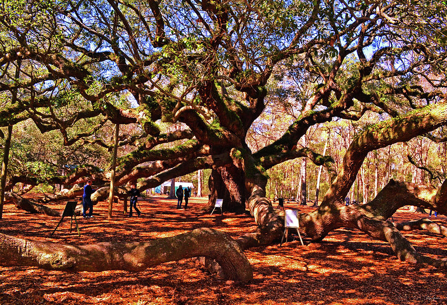 Angel Oak Tree 004 Photograph by George Bostian
