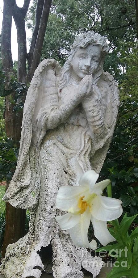 Angel Of The Lily Photograph by Seaux-N-Seau Soileau