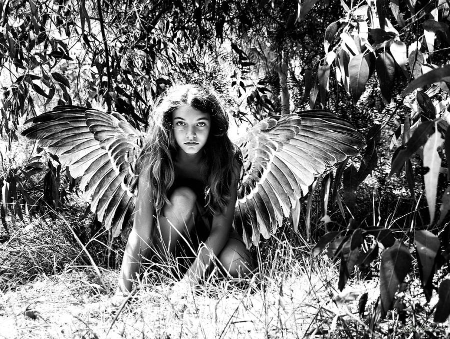 Angel Of The Wild Photograph by Diana Haronis
