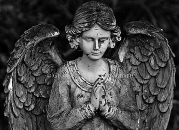 Angel Praying Photograph by George Elliott - Fine Art America