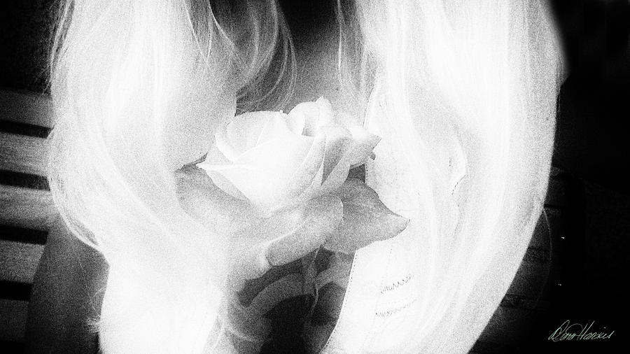 Angel Rose Photograph by Diana Haronis