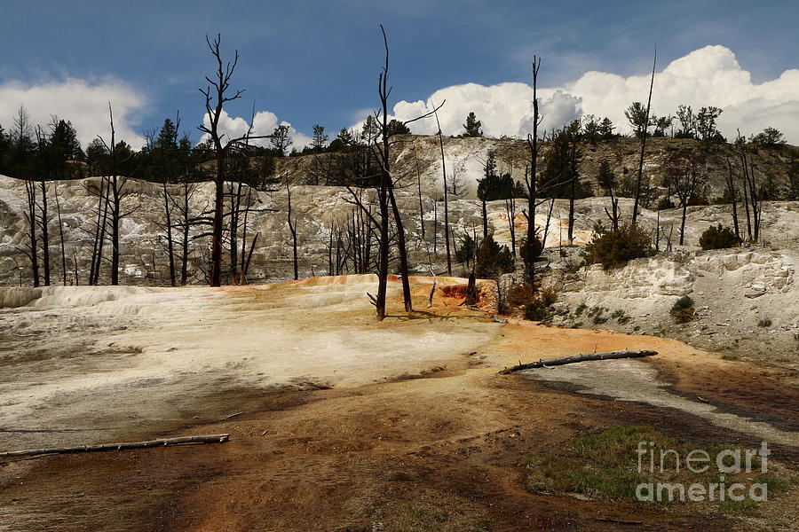 Angel Terrace - Mammoth Hot Springs Photograph by Christiane Schulze Art And Photography