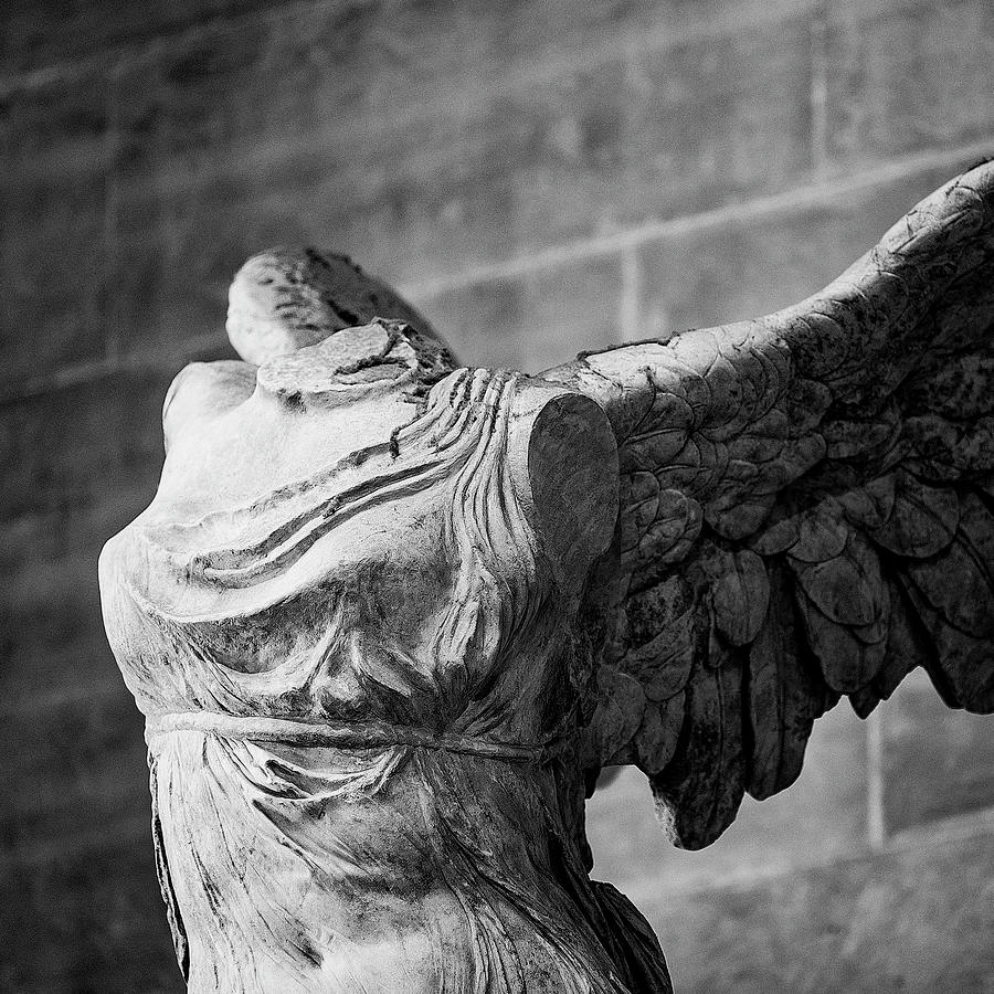 Angel Wing - #2 Photograph