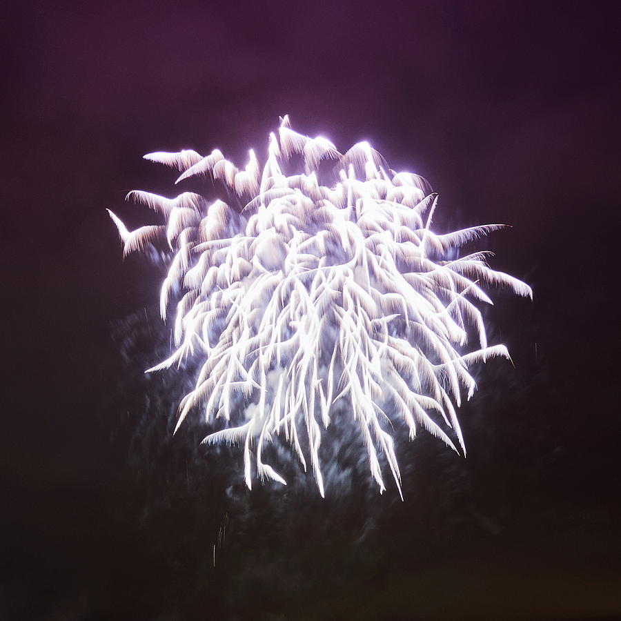Angel wings. Fireworks Finland 100 years Photograph by Jouko Lehto