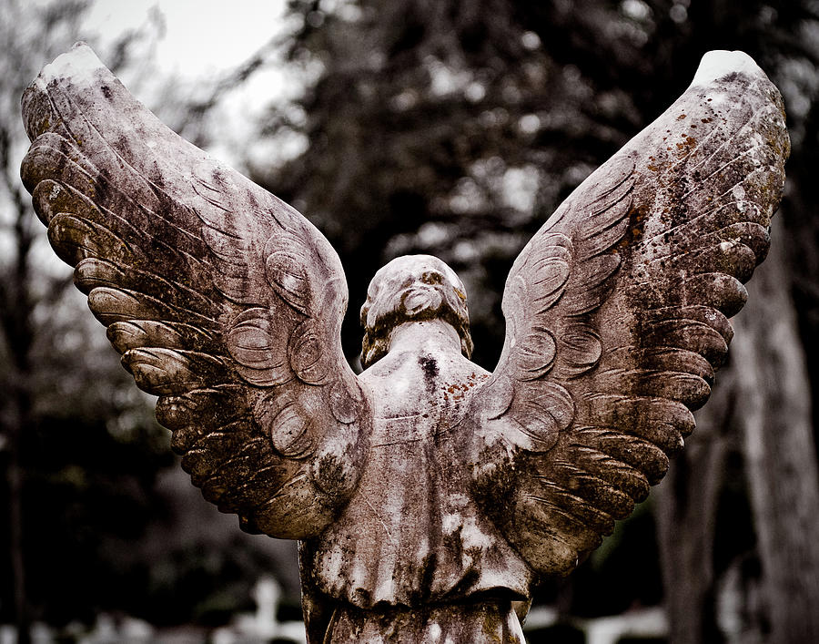 Angel Photograph - Angel Wings by Sonja Quintero