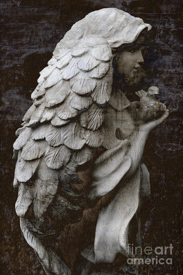 Angel With Dove Of Peace - Angel Art Textured Print Digital Art by Kathy Fornal
