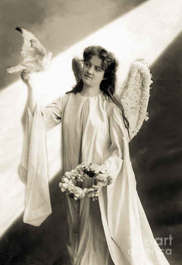 Angel with Dove Photograph by Vintage Collectables