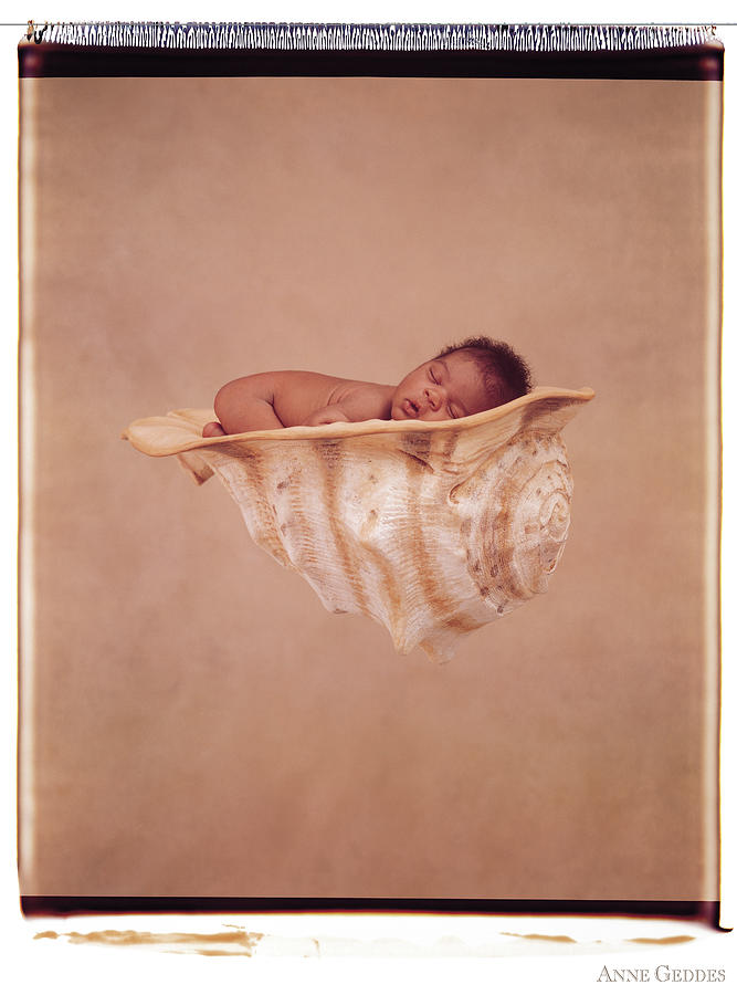 Shell Photograph - Angela in a Shell by Anne Geddes