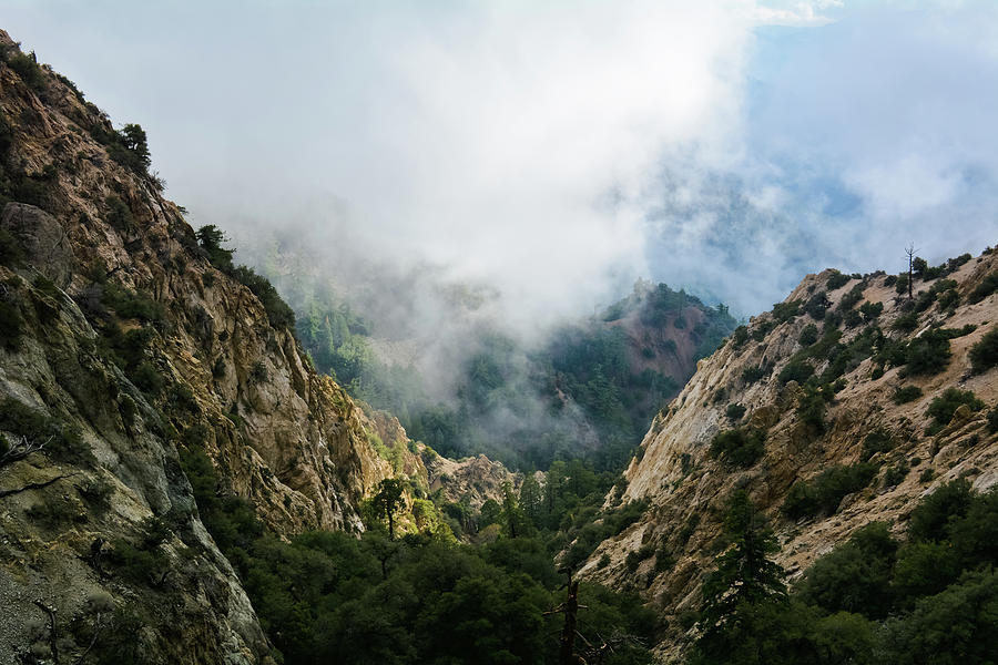 Angeles National Forest Mountain Mist Photograph by Kyle Hanson