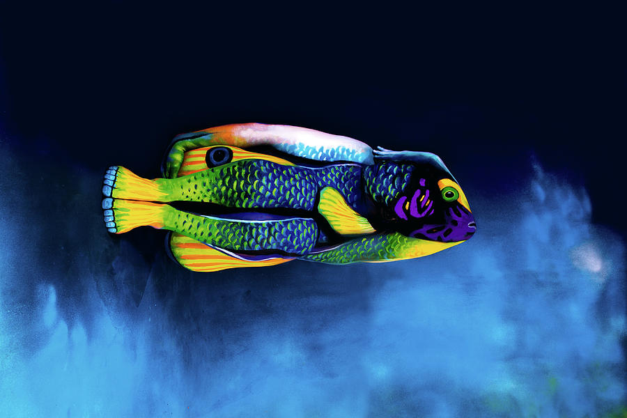 Fish Photograph - Angelfish Bodypainting Illusion by Johannes Stoetter