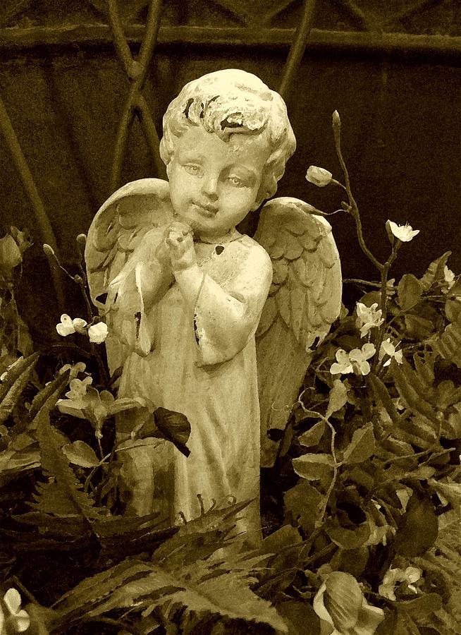 Angelic Sepia tone Photograph by Carolyn Jacob