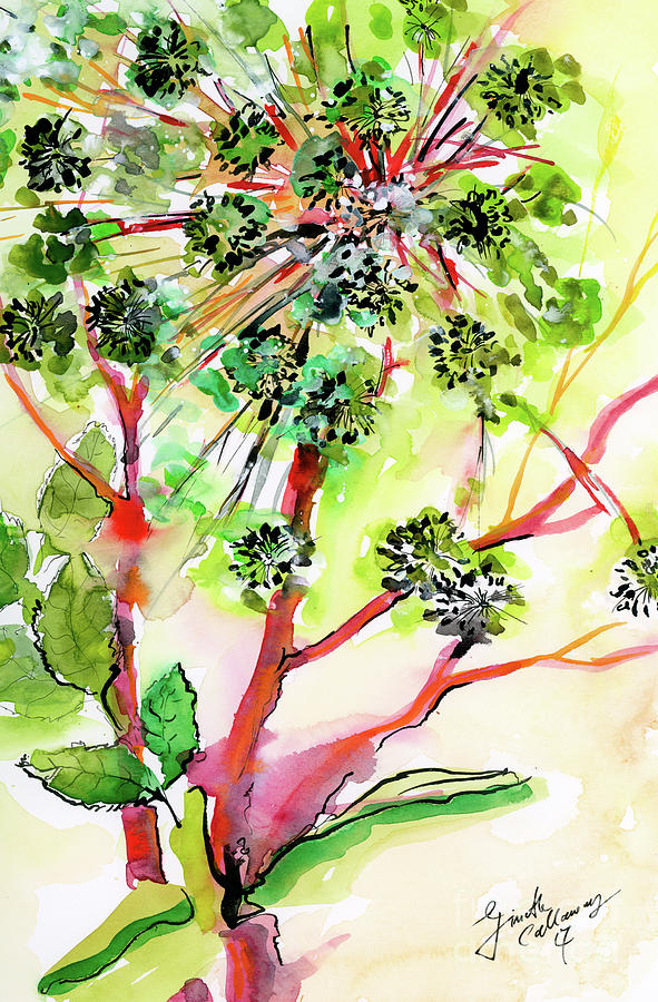 Angelica Modern Herb Watercolor and Ink Painting by Ginette Callaway