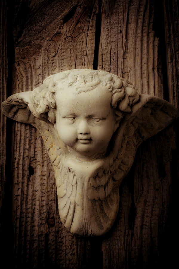 Angels Face Photograph by Garry Gay