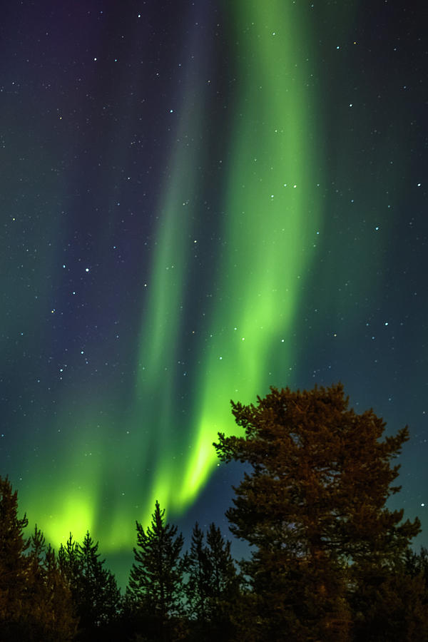 Angels Harp Northern Lights Karasjok Norway Photograph by Adam Rainoff