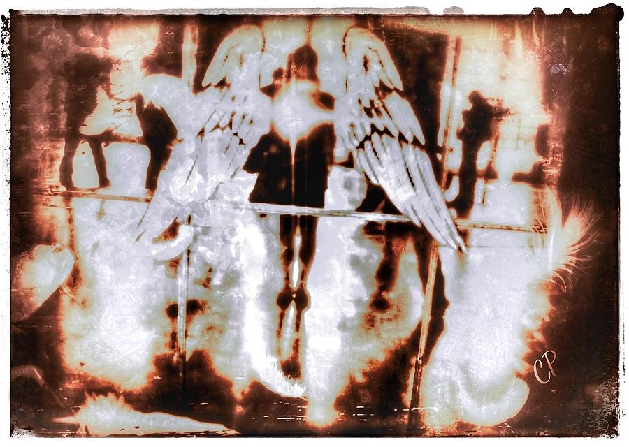 Angels In the mirror by Christine Paris Angels In the mirror by Christine Paris