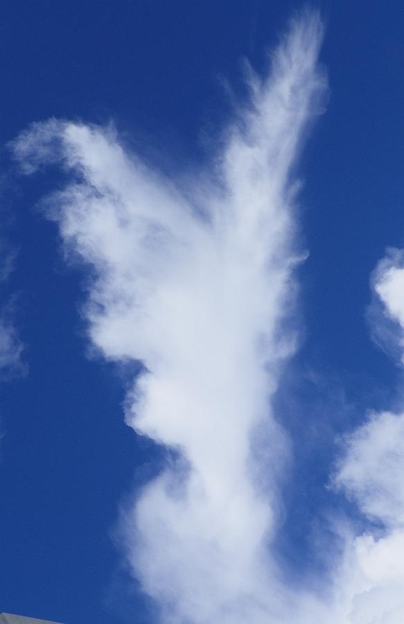 Clouds Photograph - Angels In The Sky  by Laurie Kidd