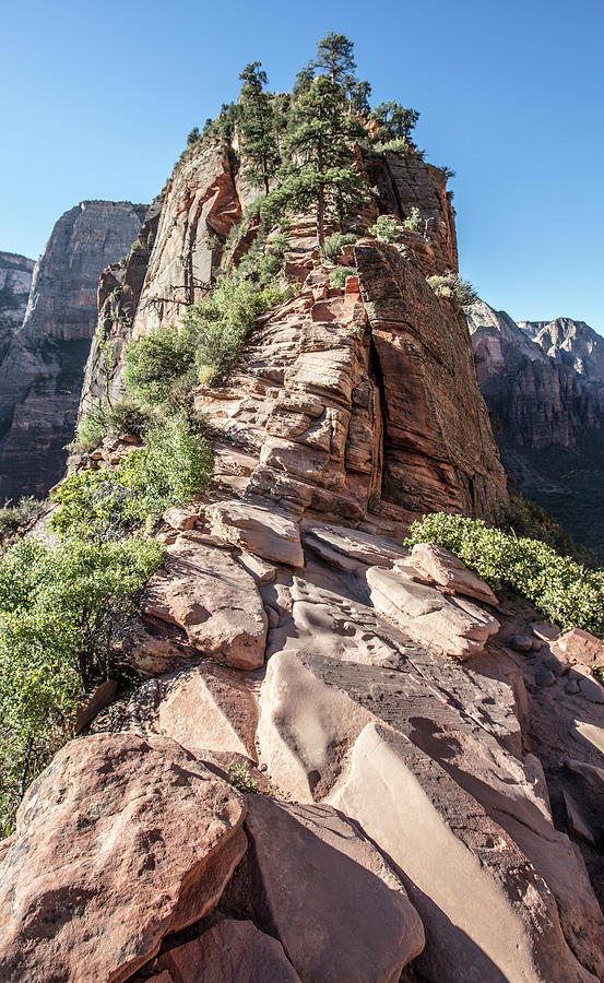 Angels Landing the Chains 2 Photograph by John McGraw