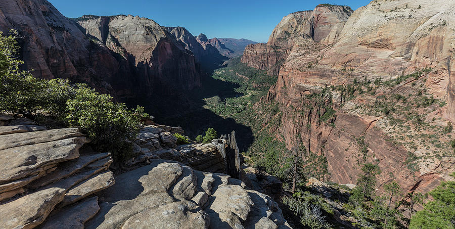 Angels Landing the View  Photograph by John McGraw