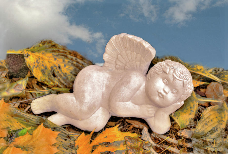 Angels Nap Photograph by Ted Lang Fine Art America
