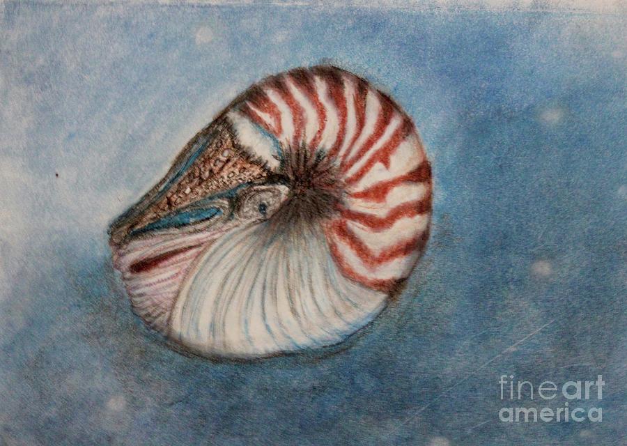 Ocean Painting - Angels Seashell by Kim Nelson Ocean Painting - Angels Seashell by Kim Nelson