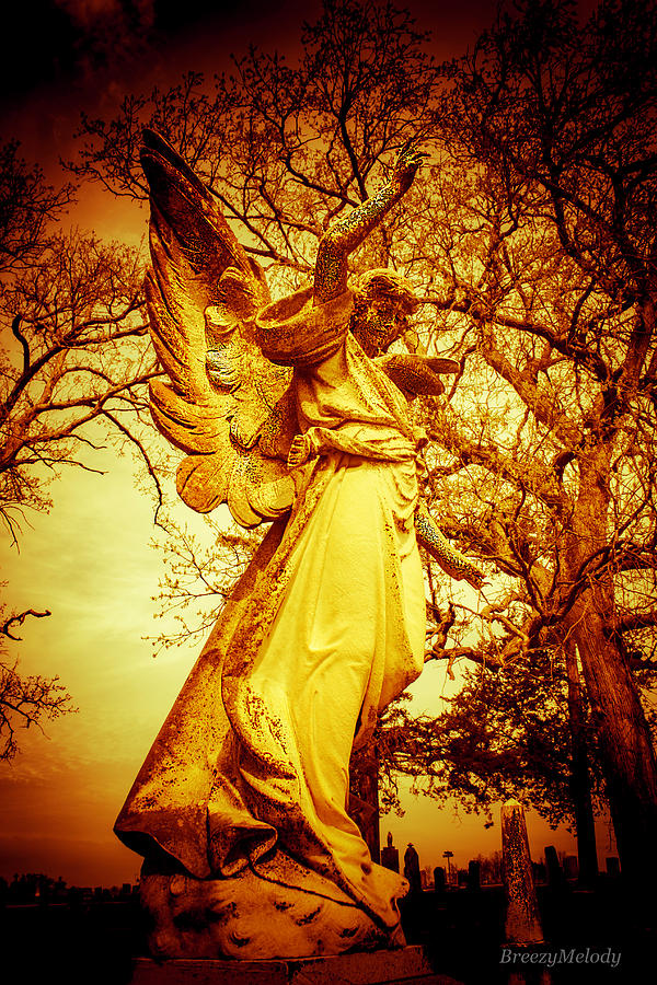 Angels Watching Over Us Photograph By Breezy Melody Fine Art America