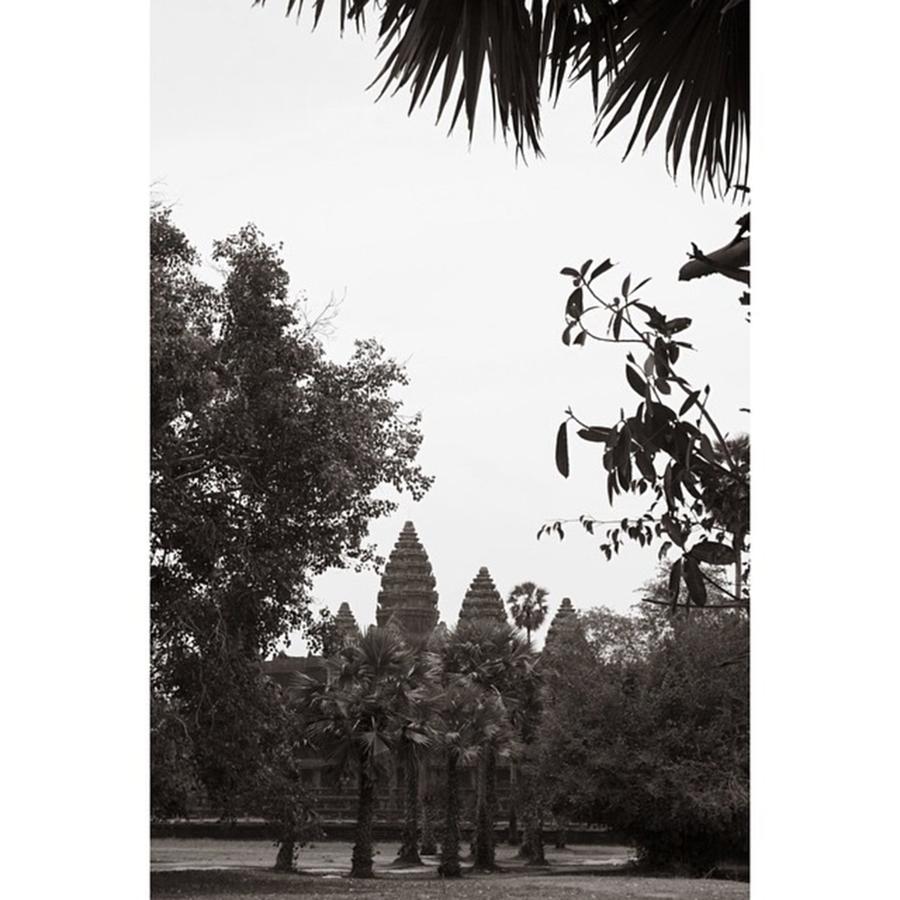 Angkor Photograph by Georgia Clare