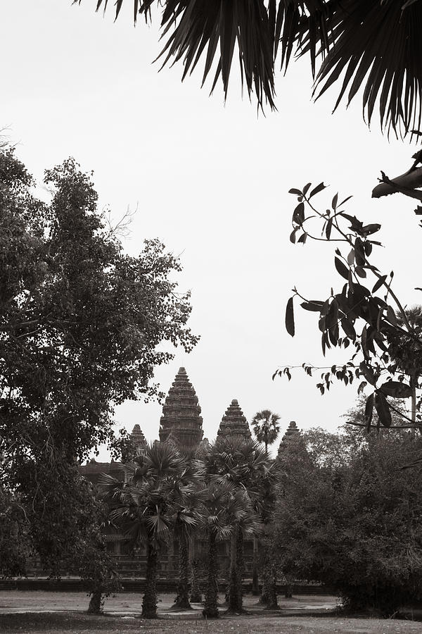 Angkor Through the Trees Photograph by Georgia Clare