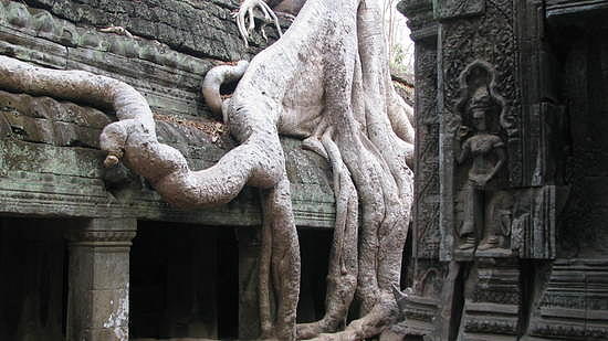Angkor Wat-Cambodia Photograph by Duncan Davies
