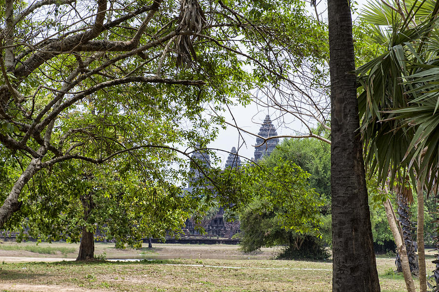 Angkor Wat Towers and Trees Photograph by Georgia Clare