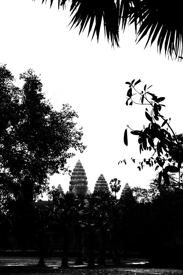 Angkor Wat Towers through the Trees Photograph by Georgia Clare